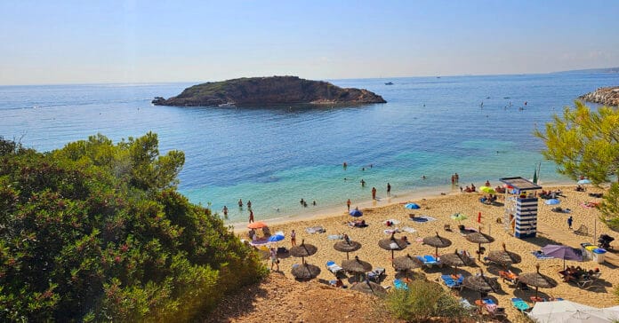 Hvad bragte dig til Mallorca - Mallorcanyheder med Rejs Til Mallorca Hvad bragte dig til Mallorca - Hvad bragte dig tilbage ? Mallorca Hyheder af Rejs Til Mallorca