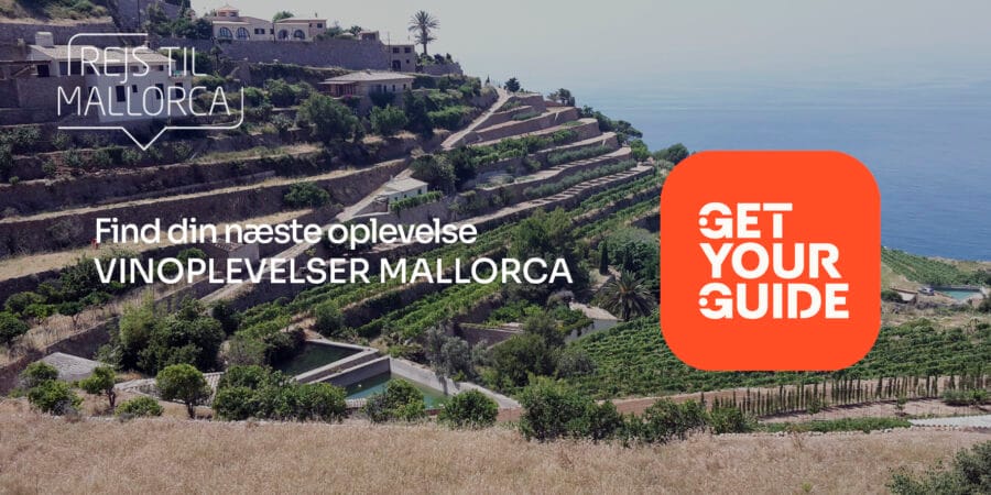 Vinoplevelser på Mallorca - Besøg vingårde og deltag i vinsmagninger med Rejs Til Mallorca